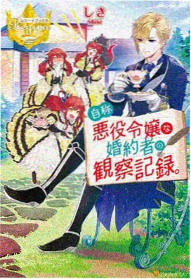 苍穹纪年 奇幻动画封面